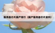 服务器芯片国产排行（国产服务器芯片架构）