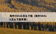 海外tiktok怎么下载（海外tiktok怎么下载苹果）