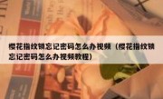 樱花指纹锁忘记密码怎么办视频（樱花指纹锁忘记密码怎么办视频教程）