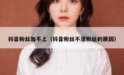 抖音粉丝加不上（抖音粉丝不涨粉丝的原因）