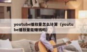 youtube播放量怎么计算（youtube播放量能赚钱吗）