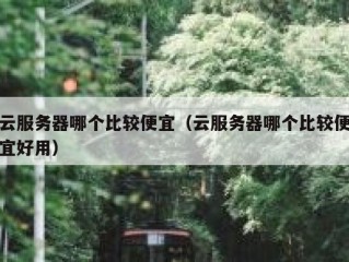 云服务器哪个比较便宜（云服务器哪个比较便宜好用）
