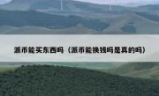 派币能买东西吗（派币能换钱吗是真的吗）