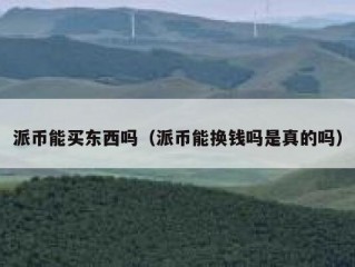 派币能买东西吗（派币能换钱吗是真的吗）