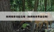 微博搜索功能在哪（微博搜索界面在哪）