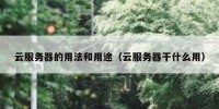 云服务器的用法和用途（云服务器干什么用）