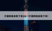 子潇网络自助下单QQ（子潇网络自助下单）