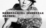 微信视频号怎么关注他人（微信视频号怎么关注自己的好友）