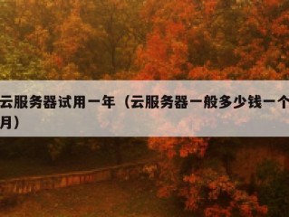 云服务器试用一年（云服务器一般多少钱一个月）