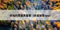 抖加的赞是真是假（抖音加赞app）