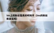ins上的粉丝是真的吗知乎（ins的粉丝数真实吗）