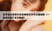 快手低价涨赞平台有哪些软件可以赚钱呢（一亩桃树能产多少桃胶）