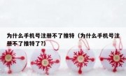为什么手机号注册不了推特（为什么手机号注册不了推特了?）