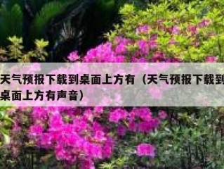 天气预报下载到桌面上方有（天气预报下载到桌面上方有声音）