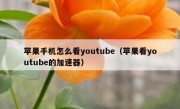 苹果手机怎么看youtube（苹果看youtube的加速器）