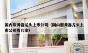 国内服务器龙头上市公司（国内服务器龙头上市公司有几家）
