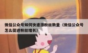 微信公众号如何快速涨粉丝数量（微信公众号怎么促进粉丝增长）