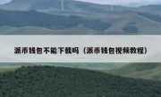 派币钱包不能下载吗（派币钱包视频教程）