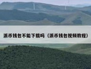 派币钱包不能下载吗（派币钱包视频教程）