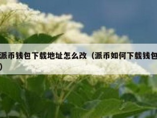 派币钱包下载地址怎么改（派币如何下载钱包）