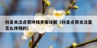 抖音关注点赞挣钱步骤详解（抖音点赞关注是怎么挣钱的）