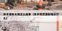 快手涨粉太慢怎么回事（快手突然涨粉暗示什么）