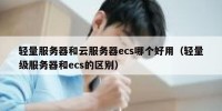 轻量服务器和云服务器ecs哪个好用（轻量级服务器和ecs的区别）
