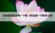 抖音出粉多少钱一个粉（抖音涨一个粉多少钱）
