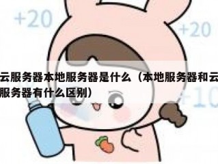 云服务器本地服务器是什么（本地服务器和云服务器有什么区别）