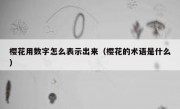 樱花用数字怎么表示出来（樱花的术语是什么）