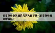 抖音涨粉涨赞图片高清大图下载（抖音涨粉就能赚钱吗）