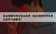 在北京限号开车怎么处罚（在北京限号开车怎么处罚今日限号）