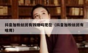 抖音加粉丝团有钱赚吗现在（抖音加粉丝团有啥用）