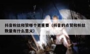 抖音粉丝和赞哪个更重要（抖音的点赞和粉丝数量有什么意义）