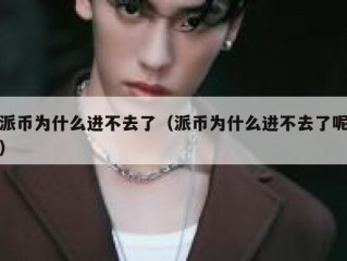 派币为什么进不去了（派币为什么进不去了呢）