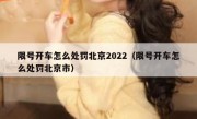 限号开车怎么处罚北京2022（限号开车怎么处罚北京市）