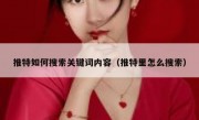 推特如何搜索关键词内容（推特里怎么搜索）