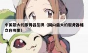 中国最大的服务器品牌（国内最大的服务器建立在哪里）