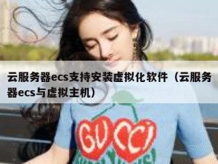 云服务器ecs支持安装虚拟化软件（云服务器ecs与虚拟主机）