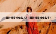国外抖音叫啥名儿?（国外抖音叫啥名字）