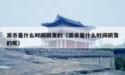 派币是什么时间研发的（派币是什么时间研发的呢）