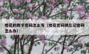 樱花的数字密码怎么写（樱花密码锁忘记密码怎么办）