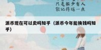 派币现在可以卖吗知乎（派币今年能换钱吗知乎）