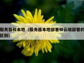 服务器和本地（服务器本地部署和云端部署的区别）