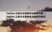 twitter上有什么值得关注的账号嘛（twitter上有什么值得关注的账号嘛怎么回复）