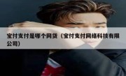 宝付支付是哪个网贷（宝付支付网络科技有限公司）