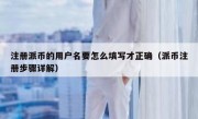注册派币的用户名要怎么填写才正确（派币注册步骤详解）