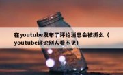 在youtube发布了评论消息会被抓么（youtube评论别人看不见）