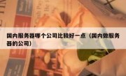 国内服务器哪个公司比较好一点（国内做服务器的公司）