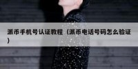 派币手机号认证教程（派币电话号码怎么验证）